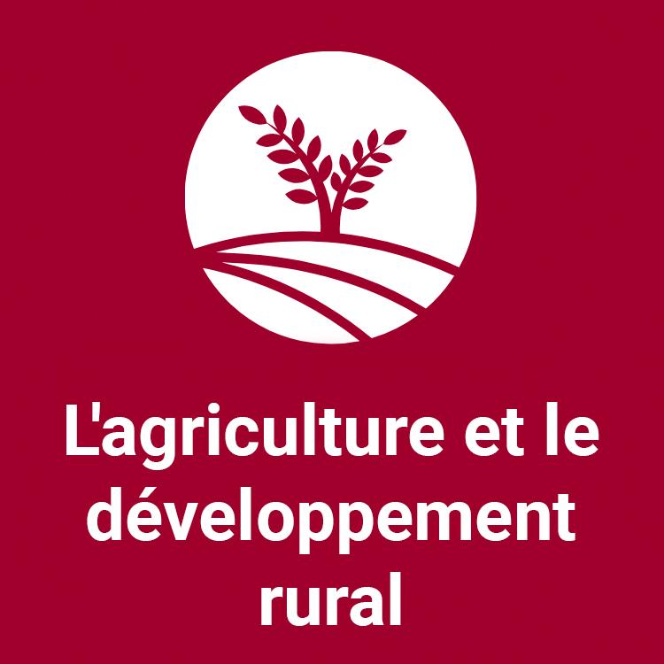 L'agriculture et le développement rural
