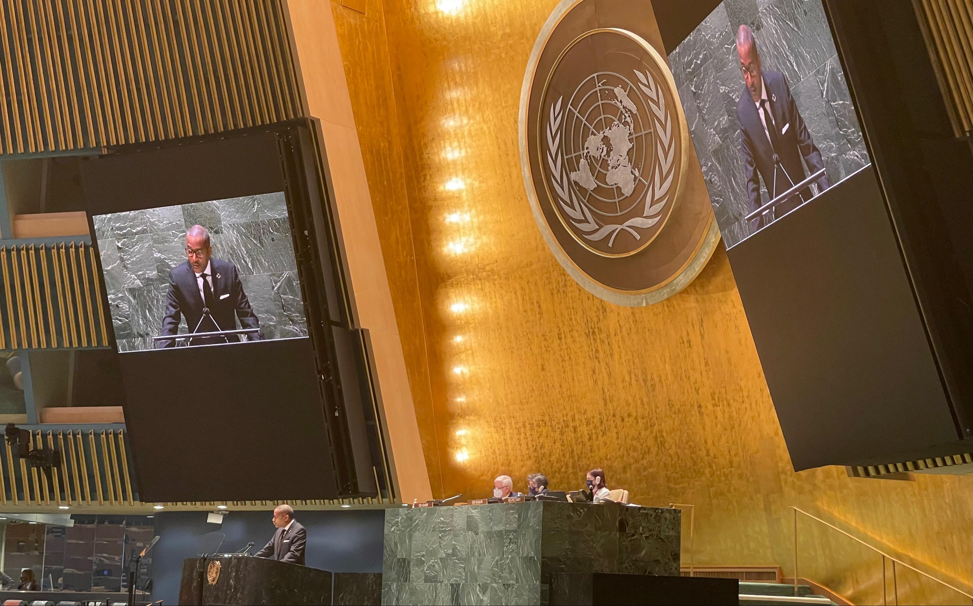 High Representative Courtenay Rattray addresses the General Assembly Hall