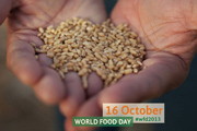 World Food Day