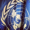 UN flag