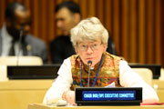 UN briefing with civil society