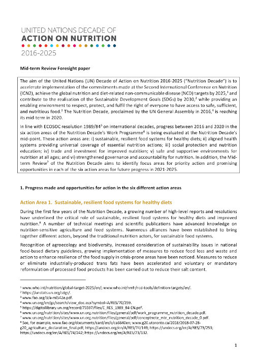 Front cover of the Nutrition Decade’s Mid-term Review Foresight paper.