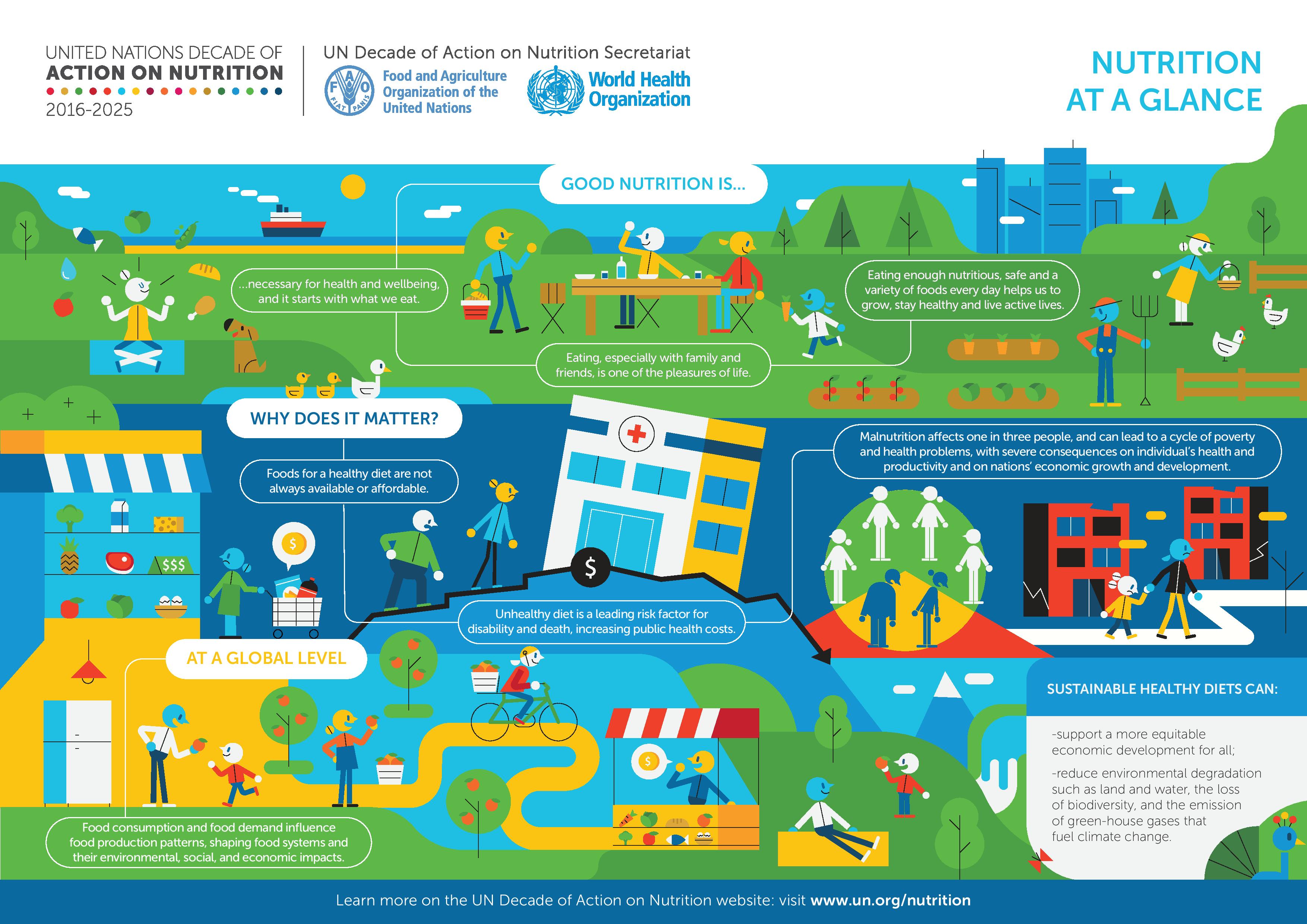 Infographic on the UN Decade of Action on Nutrition explaining why nutrition matters.