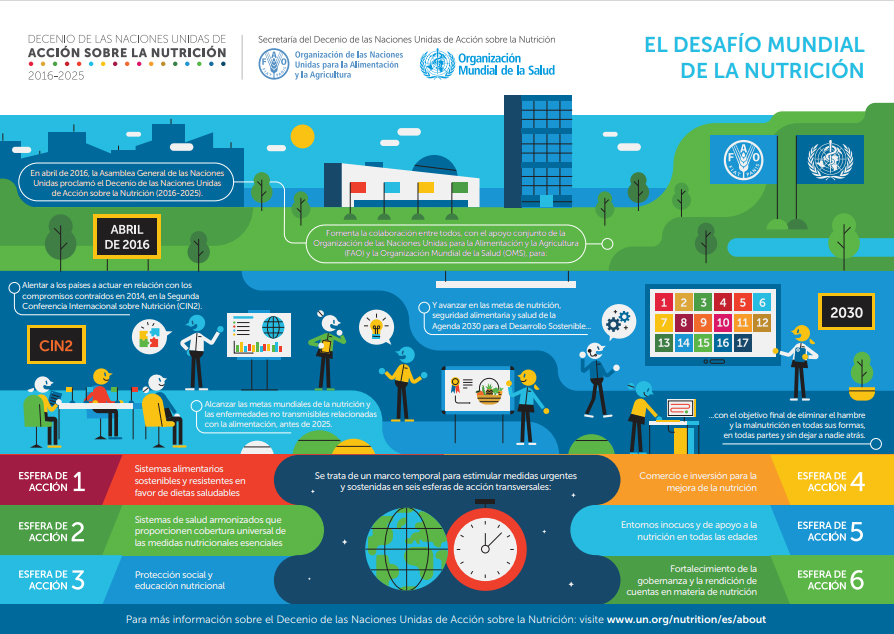 Infografía sobre el Decenio de las Naciones Unidas de Acción sobre la Nutrición en la que se presentan sus antecedentes y seis esferas de acción.