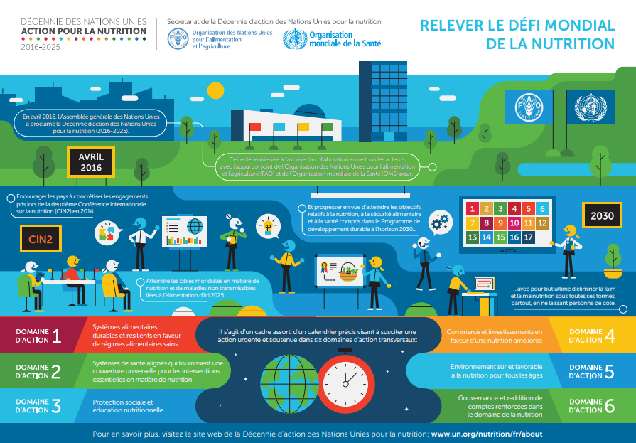 Infographie sur la Décennie d’action des Nations Unies pour la nutrition: le contexte et les six domaines d’action.