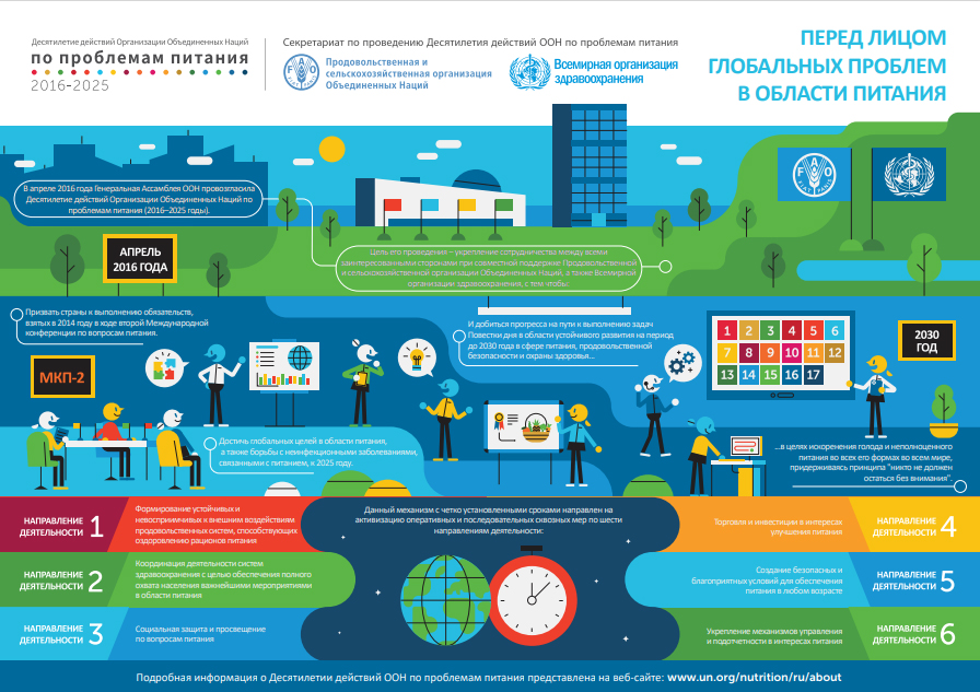 Десятилетие действий ООН по проблемам питания. Инфографика, содержащая общую информацию и описание шести направлений деятельности.