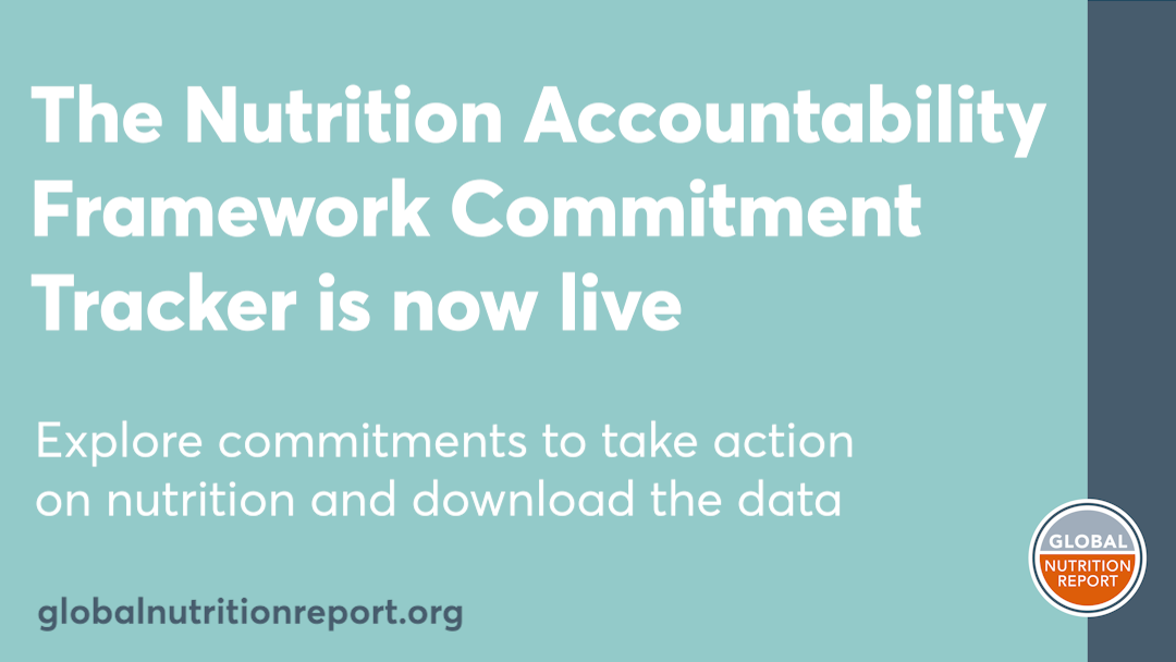 Out now card of the Nutrition Accountability Framework (NAF)