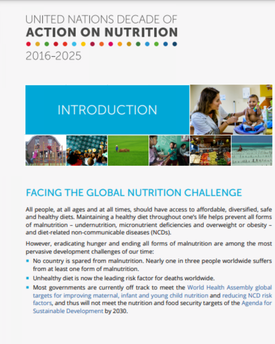 cover_global_nutrition_challenge.png