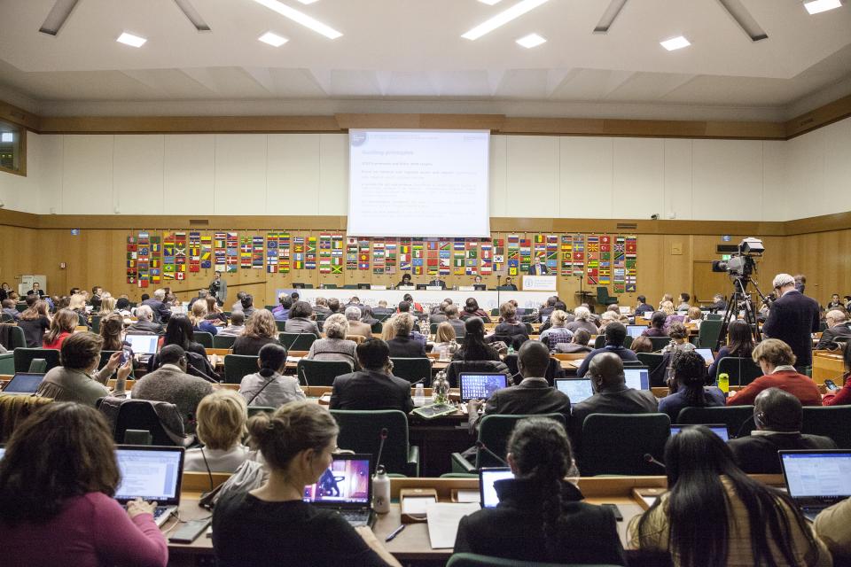 الصورة: FAO/Giuseppe Carotenuto© الندوة الدولية المشتركة بين منظمة الأغذية والزراعة ومنظمة الصحة العالمية عن النظم الغذائية المستدامة لأنماط غذائية صحيّة وتغذية محسّنة.