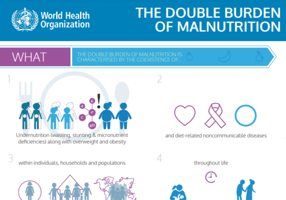 Aperçu d’une infographie sur la malnutrition.