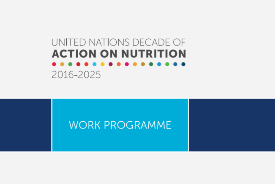 Couverture du programme de travail de la Décennie d’action des Nations Unies pour la nutrition.
