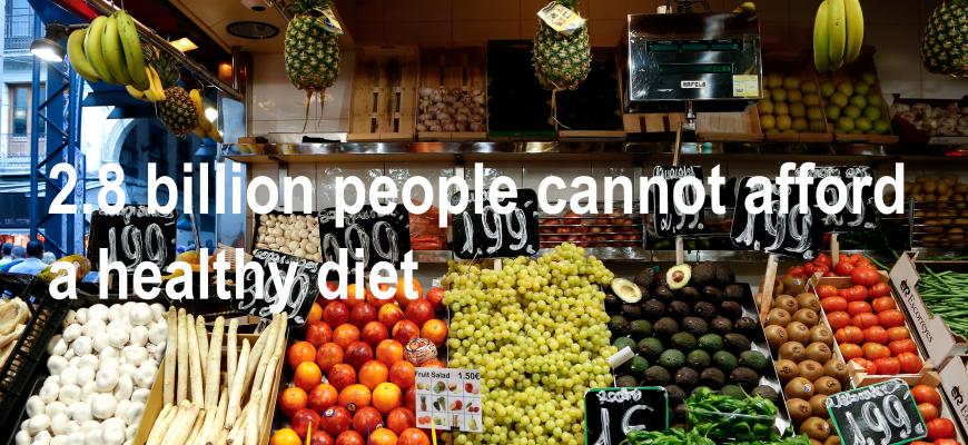 2.8 billion people cannot afford a healthy diet