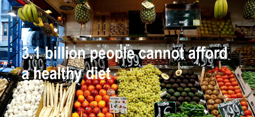 3.1 billion people cannot afford a healthy diet.