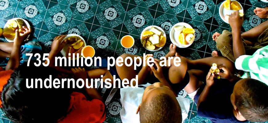 735 million people are undernourished.
