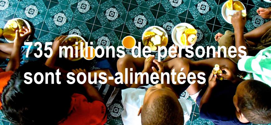 735 millions de personnes sont sous-alimentées