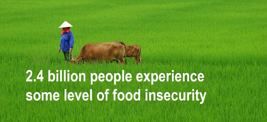 2.4 billion people experience some level of food insecurity.