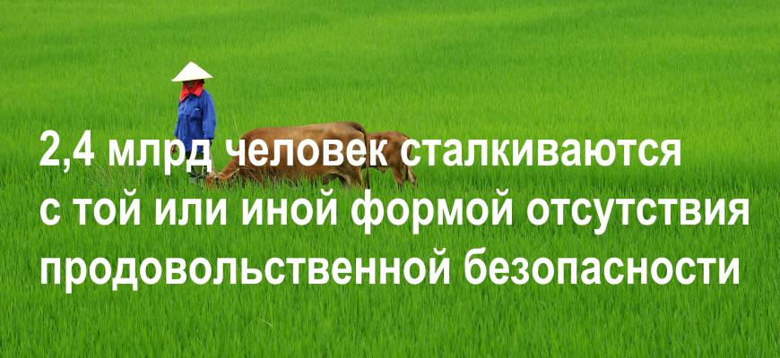 2,4 млрд человек сталкиваются с той или иной формой отсутствия продовольственной безопасности