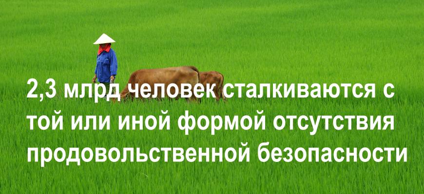 2,3 млрд человек сталкиваются с той или иной формой отсутствия продовольственной безопасности