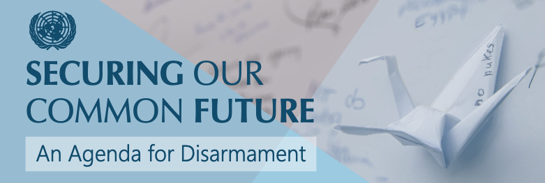 Link to the Secretary-General's Agenda for Disarmament