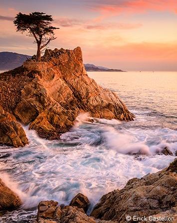 Coast with tree at sunset. Photo: Castellon, UN World Oceans Day Photo Competition 