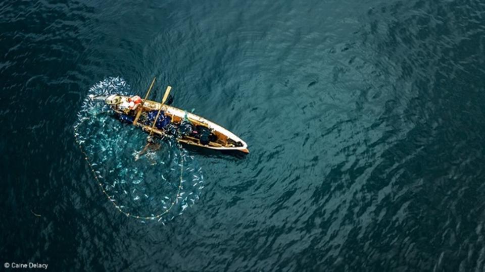 Net fishing from boat. Photo: Delacy, UN World Oceans Day Photo Competition