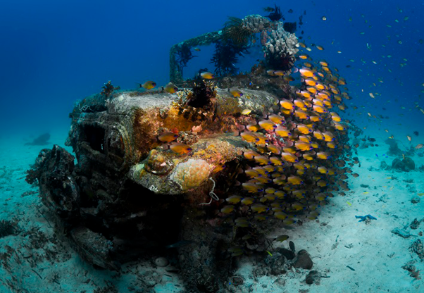 Sunken car surrounded by fish and coral. Photo: Masuet, UN World Oceans Day Photo Competition