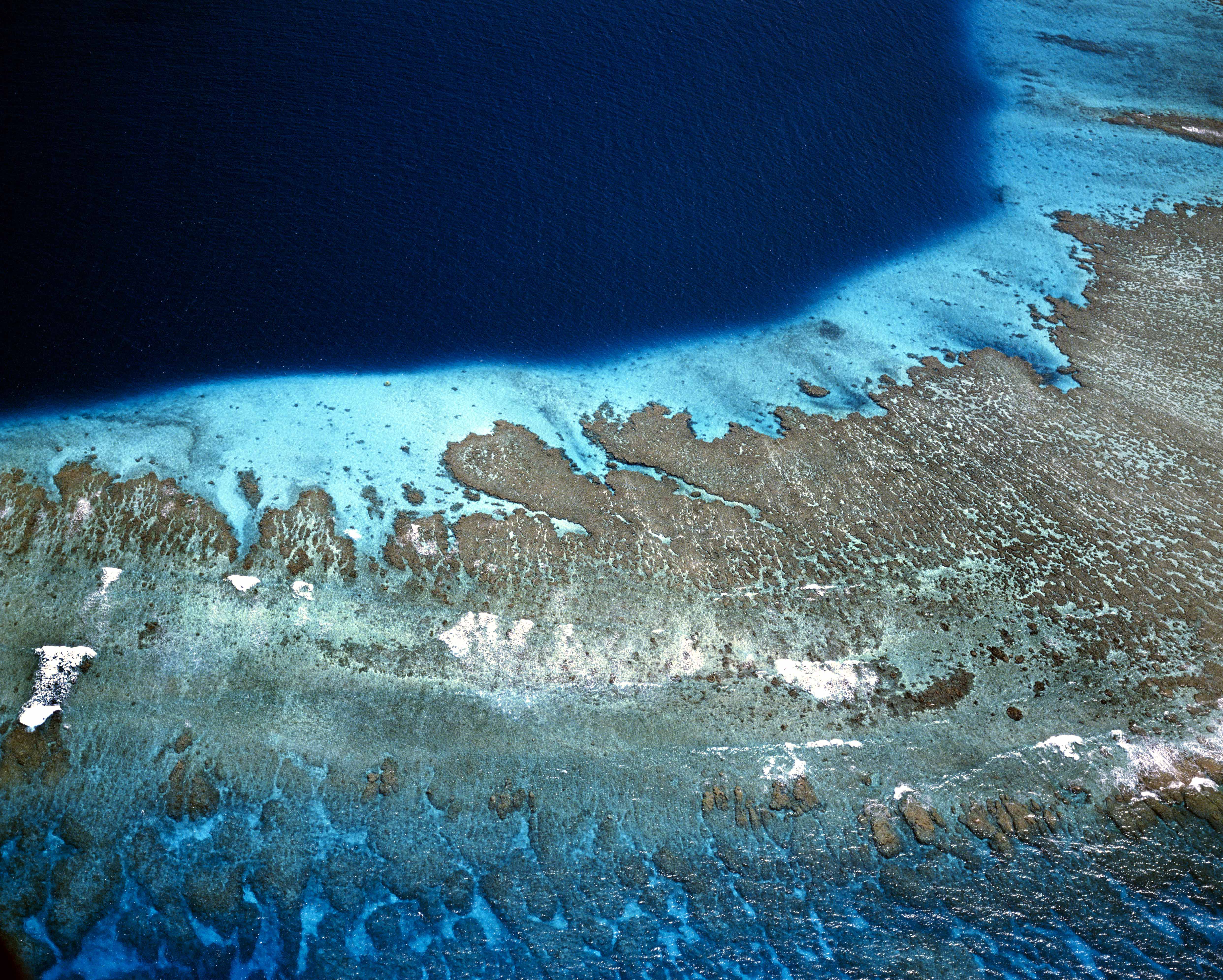 Photo: Fiji. Global Environment Facility, Flickr 