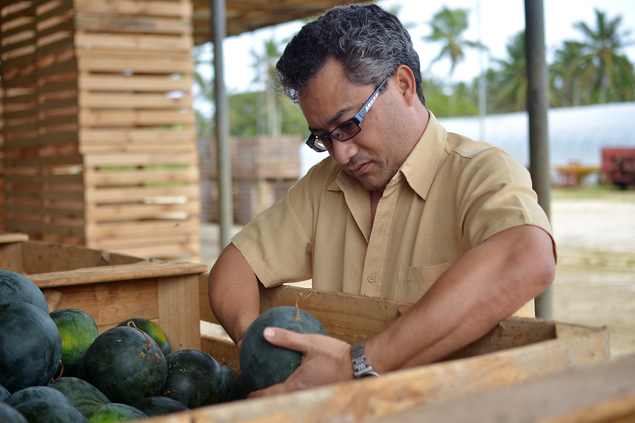 Farmer in Nukua'lofa, Tonga