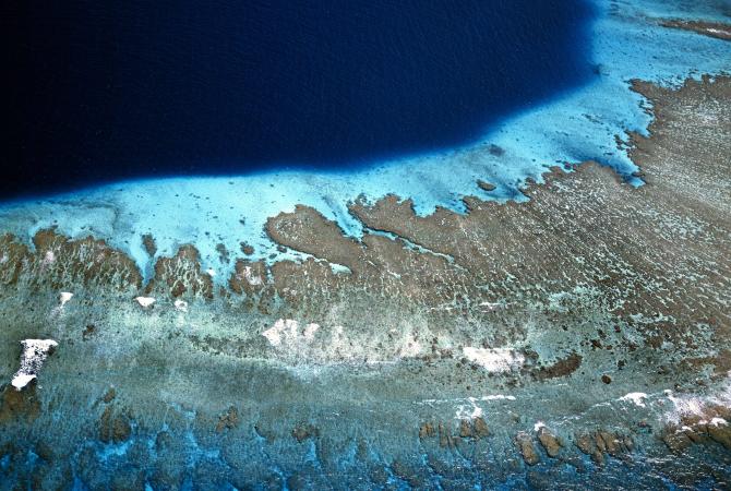 Photo: Fiji. Global Environment Facility, Flickr 