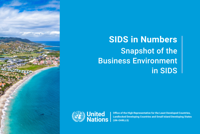 sids in numbers report cover