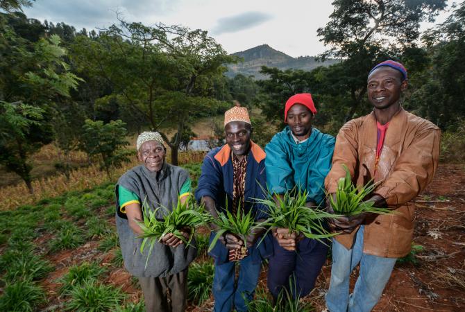 Farmers at a community plot testing different forages in Tanzania. 