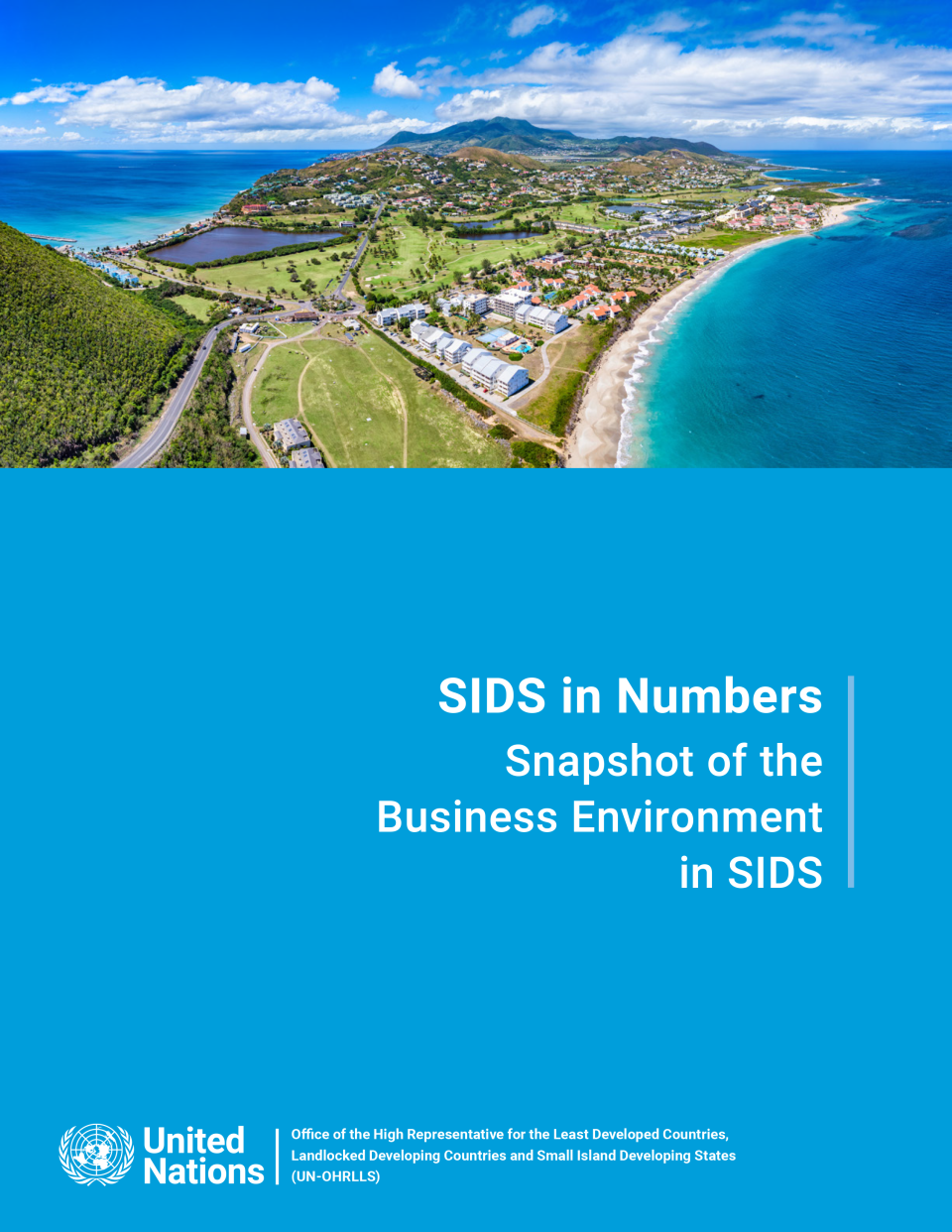SIDS in Numbers cover