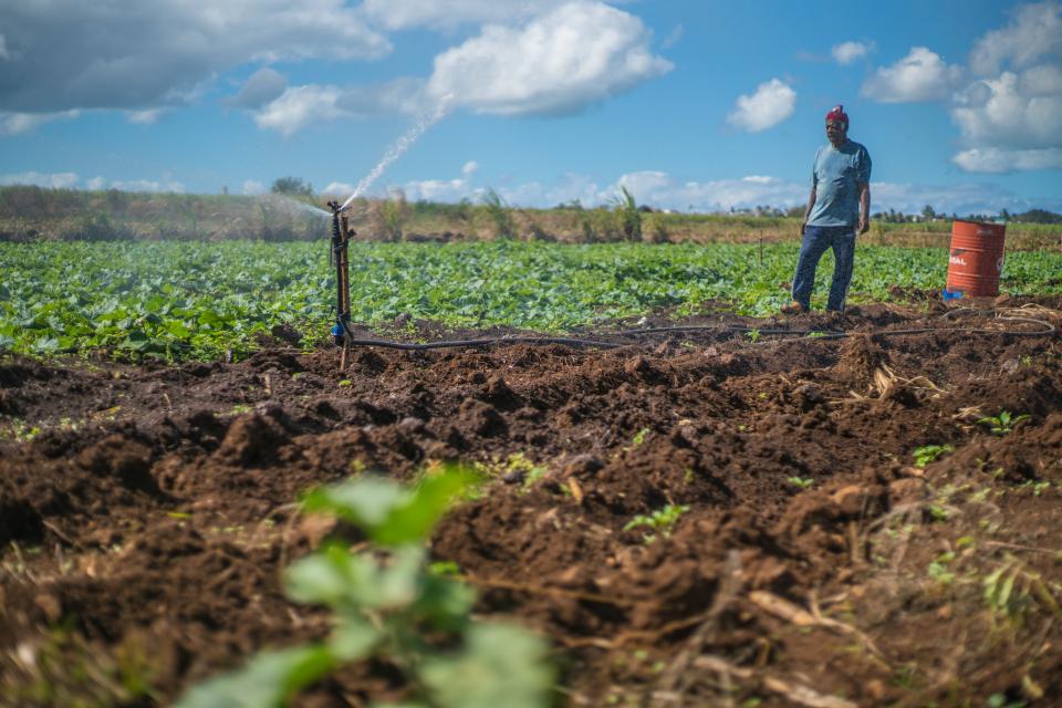 Improved understanding of water management to protect groundwater resources and ensuring sustainable water supply in Mauritius.