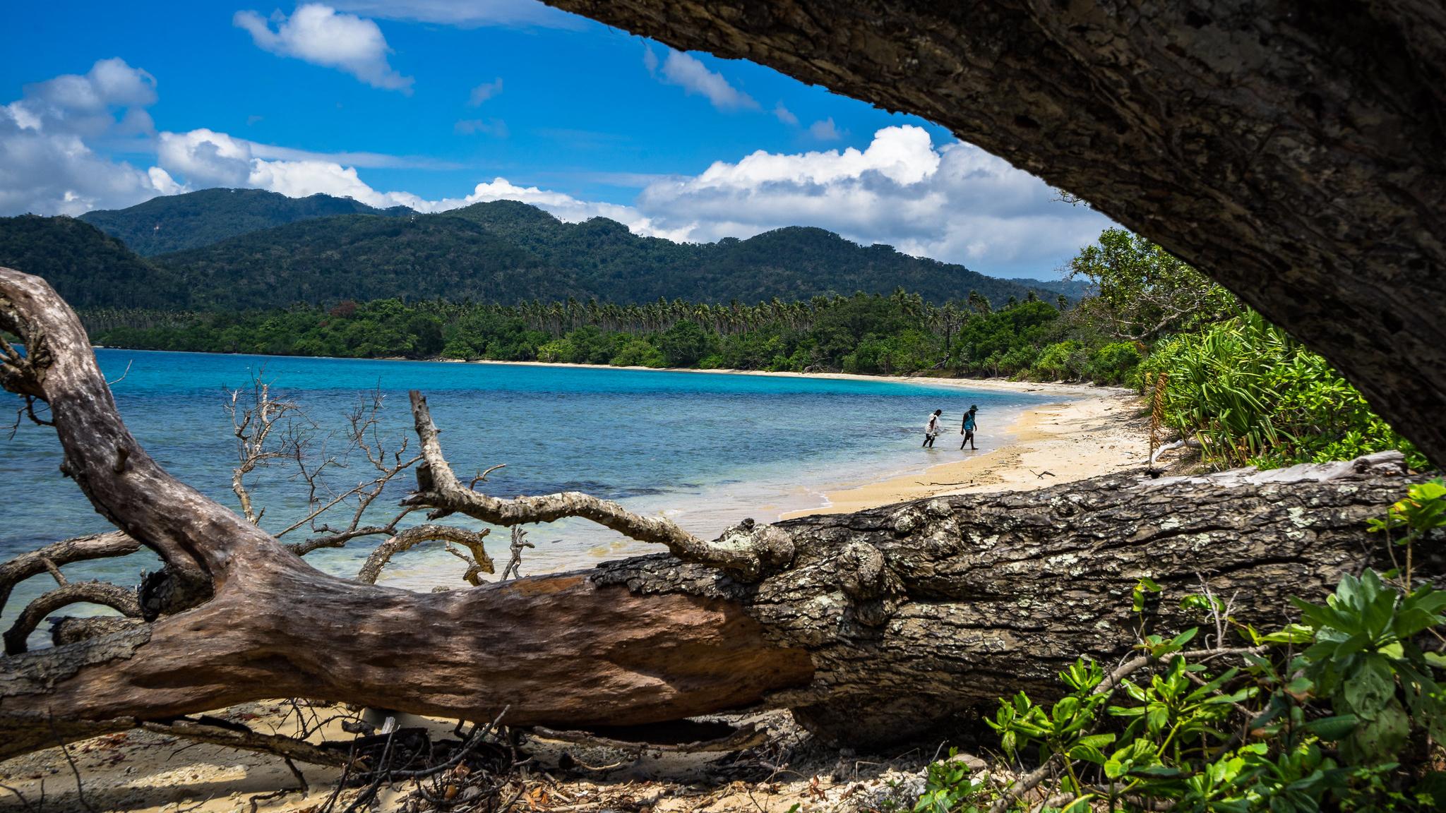 Fishermen exploring the waters for a catch in Malekula, Vanuatu.