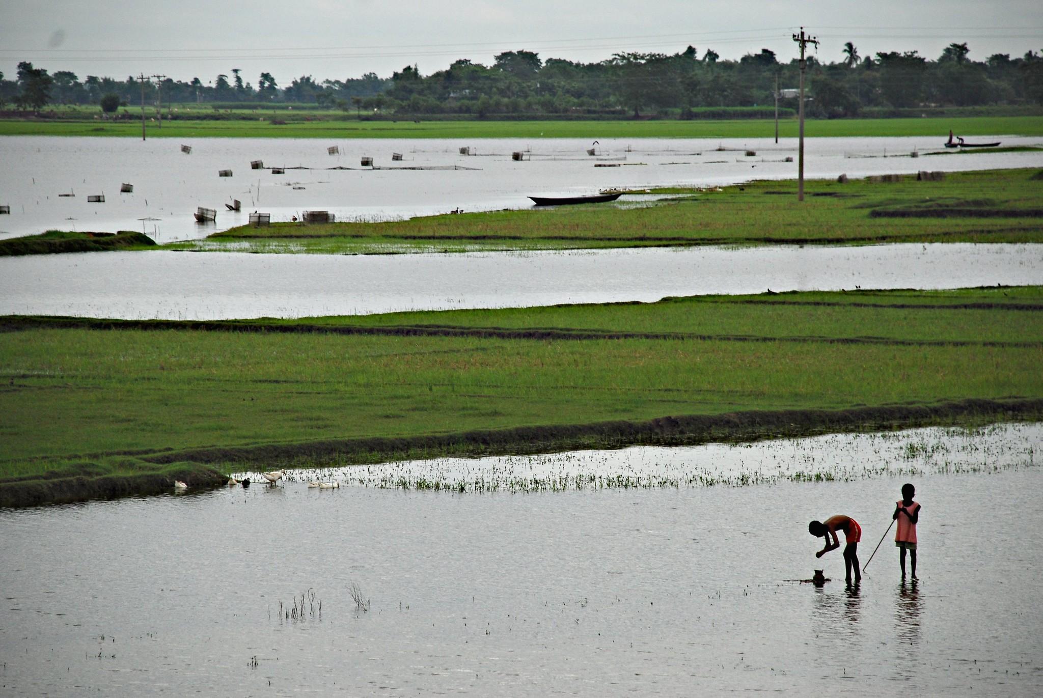The flooding brought by the monsoon season and tropical cyclones regularly pummels the coastal lands around the Bay of Bengal in Bangladesh. 