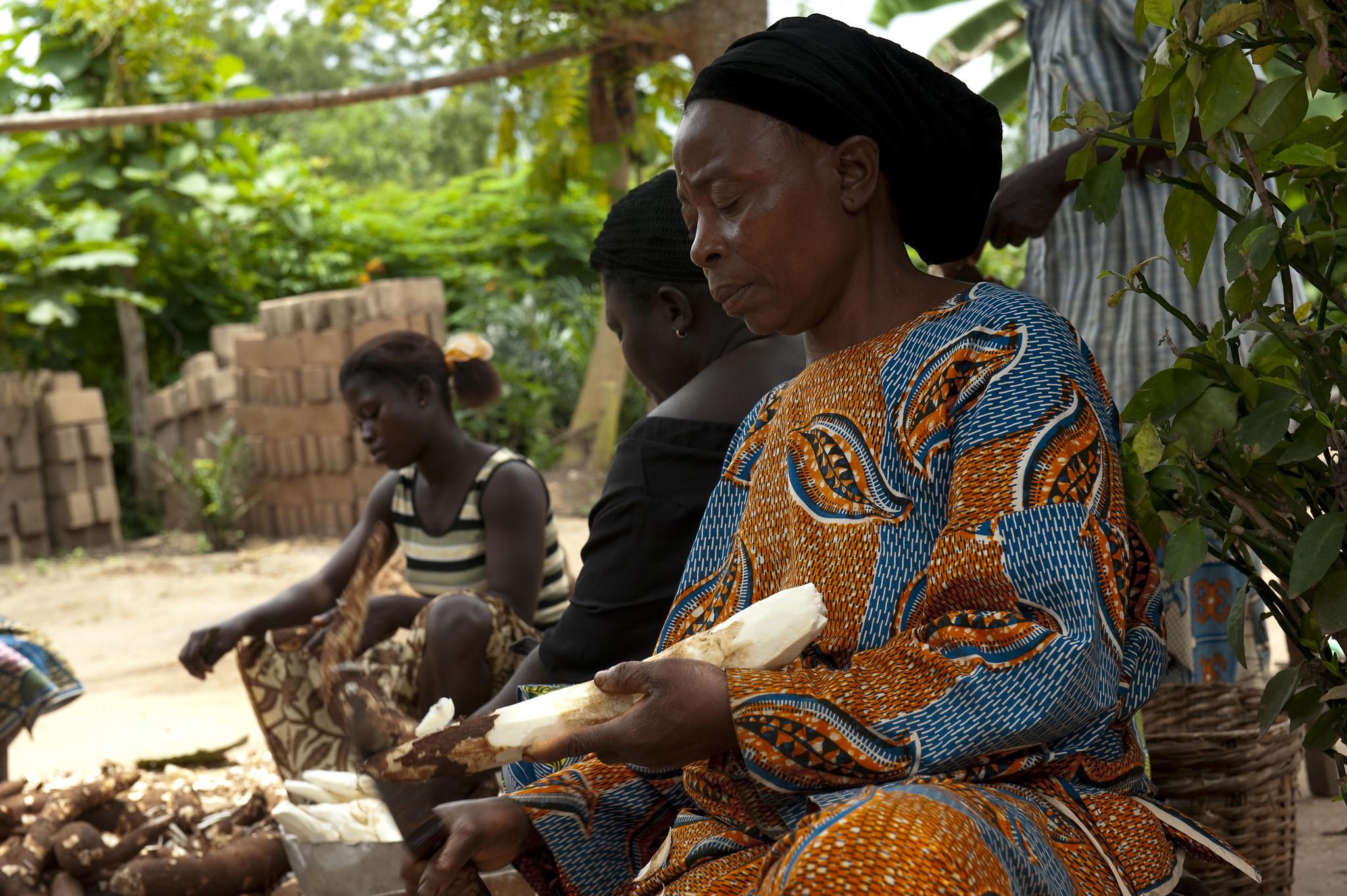 A women group that produces gari (cassawa flour) in Benin.