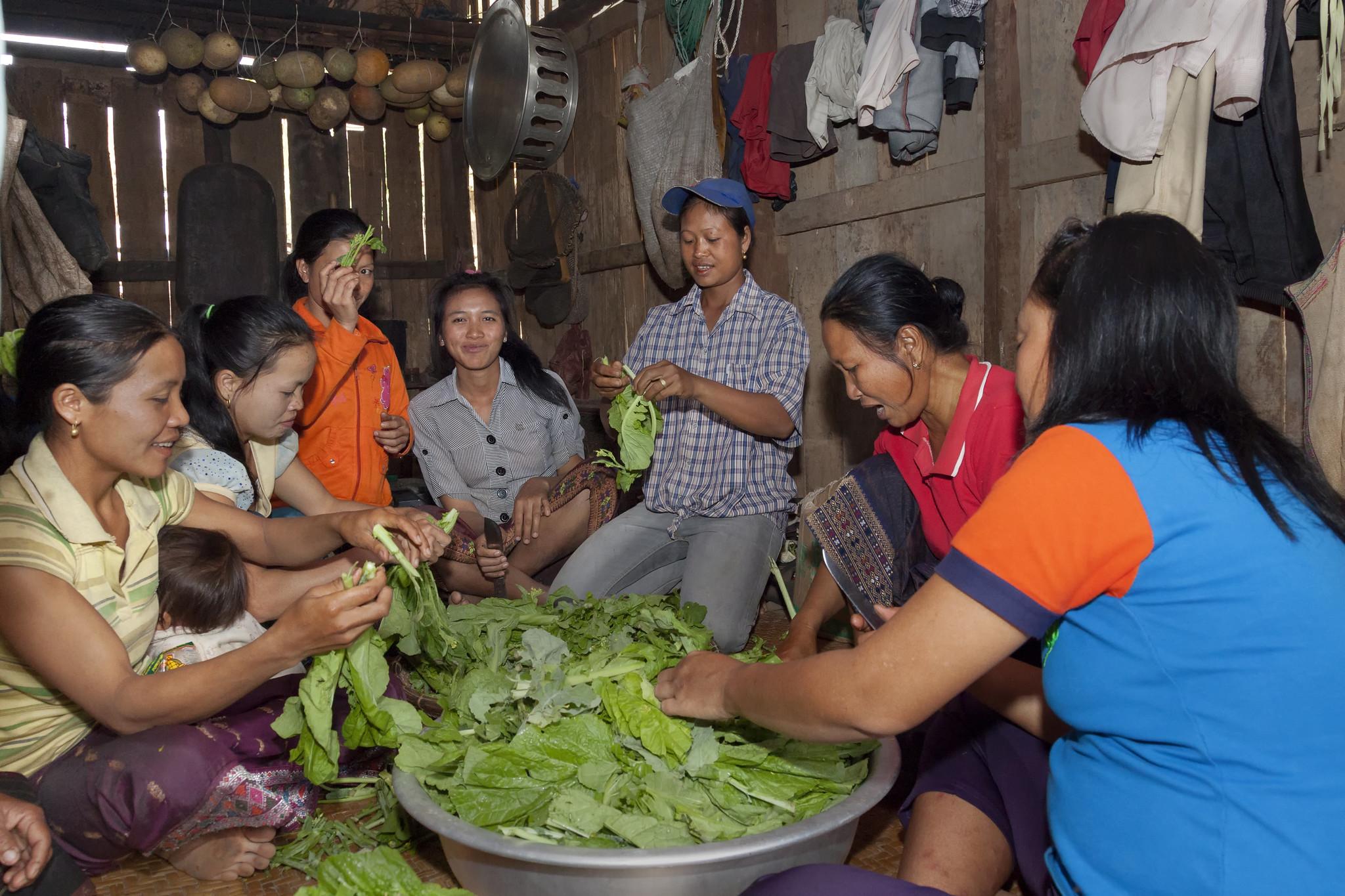 Local communities in Laos are contributing to a feeding program for primary school students by sharing vegetables from their gardens.