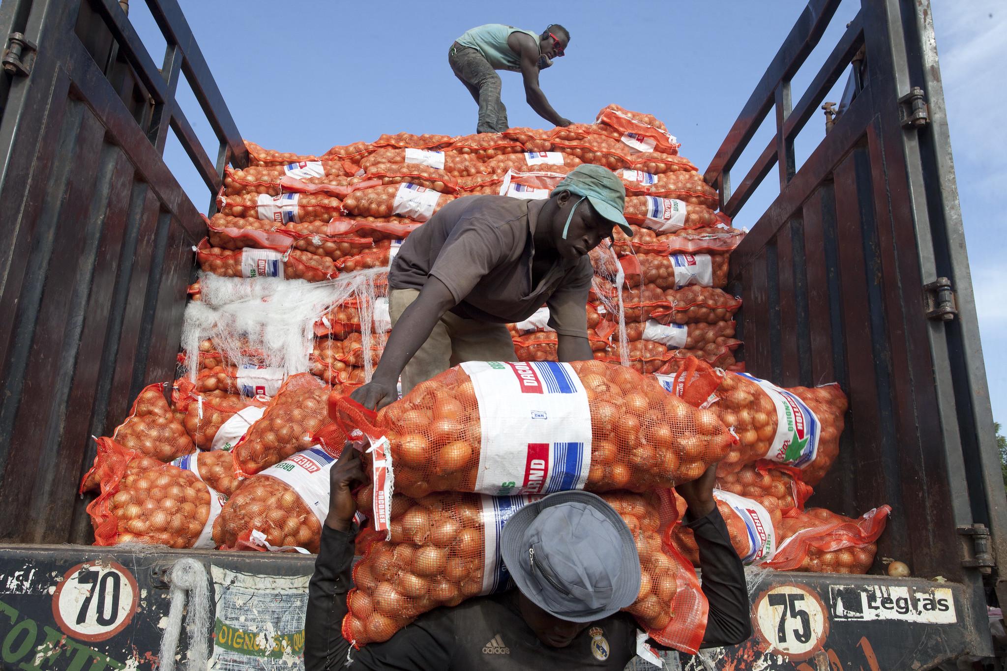 Unload sacks of onions in a farmers market in Bamako