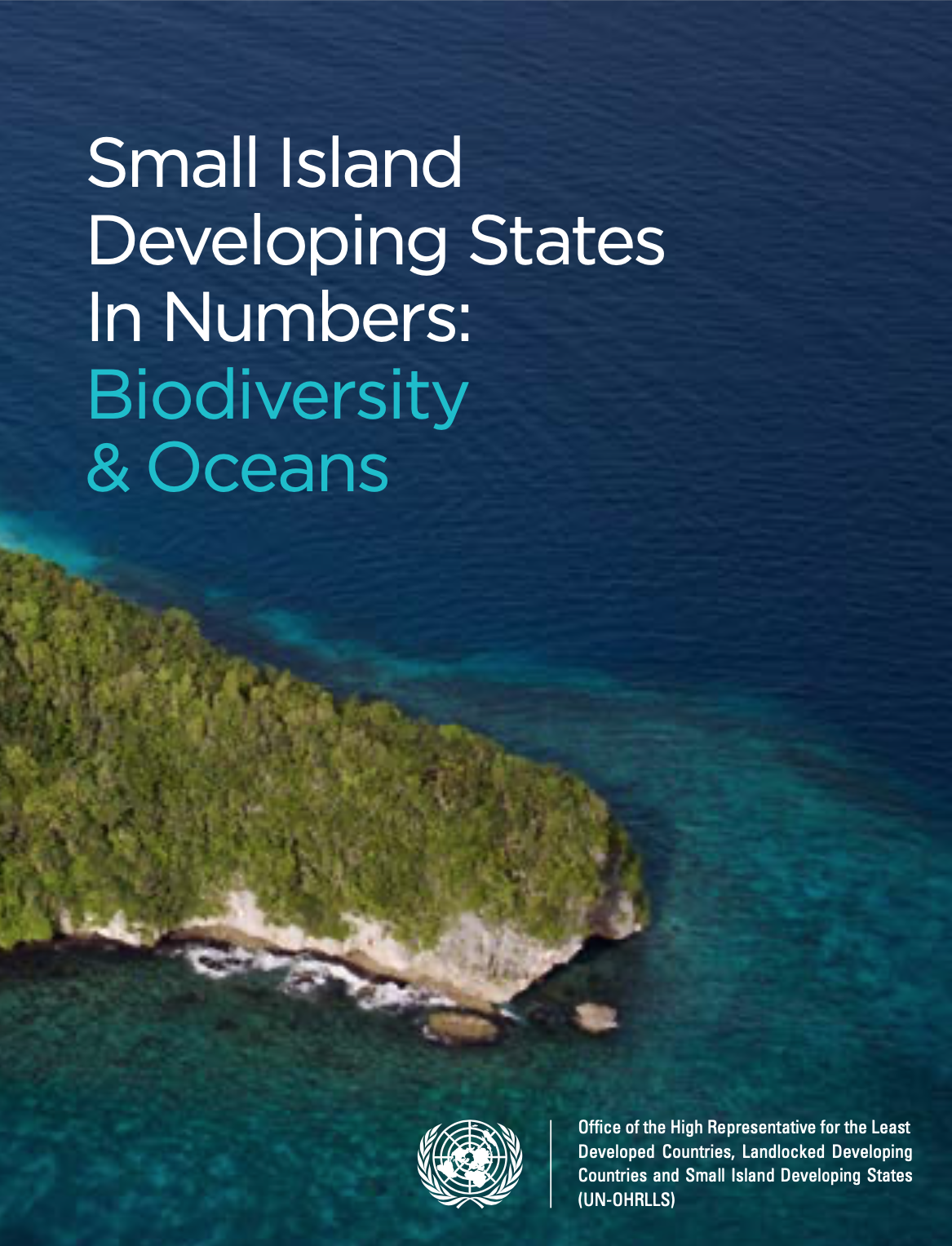 Cover of Small Island Developing States In Numbers: Biodiversity & Oceans (2017)