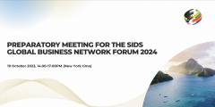 Preparatory Meeting for the SIDS Global Business Network Forum 2024