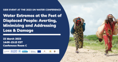 Water Extremes at the Feet of Displaced People: Averting, Minimising and Addressing Loss & Damage
