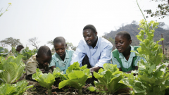 Zimbabwe - Students at Nhema Primary School received practical environmental science class in their school garden.