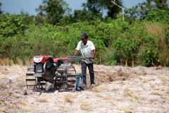 A Cambodian farmer prepares his field for the next crop.