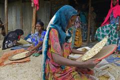Women winnow corn, to remove the chaff before milling the crop in Ethiopia.