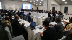Africa regional review meeting