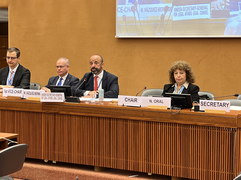 The UN Legal Counsel addresses the International Law Commission on 11 May 2023