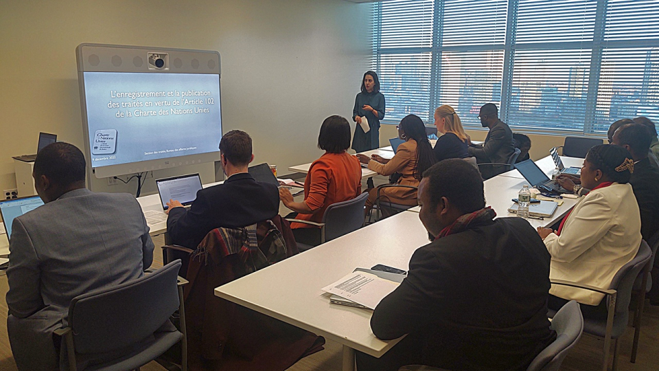 The “Seminar on Treaty Law and Practice: The Work of the Treaty Section of the United Nations Office of Legal Affairs” 