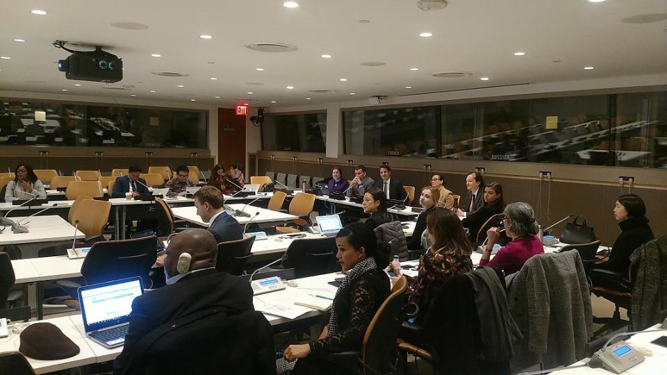 Seminar on Treaty Law and Practice organized by Treaty Section of the United Nations Office of Legal Affairs at the UN Headquarters