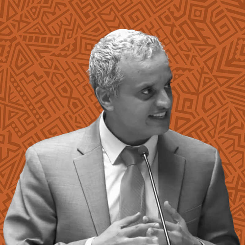 Portrait of Anouar Boukhars