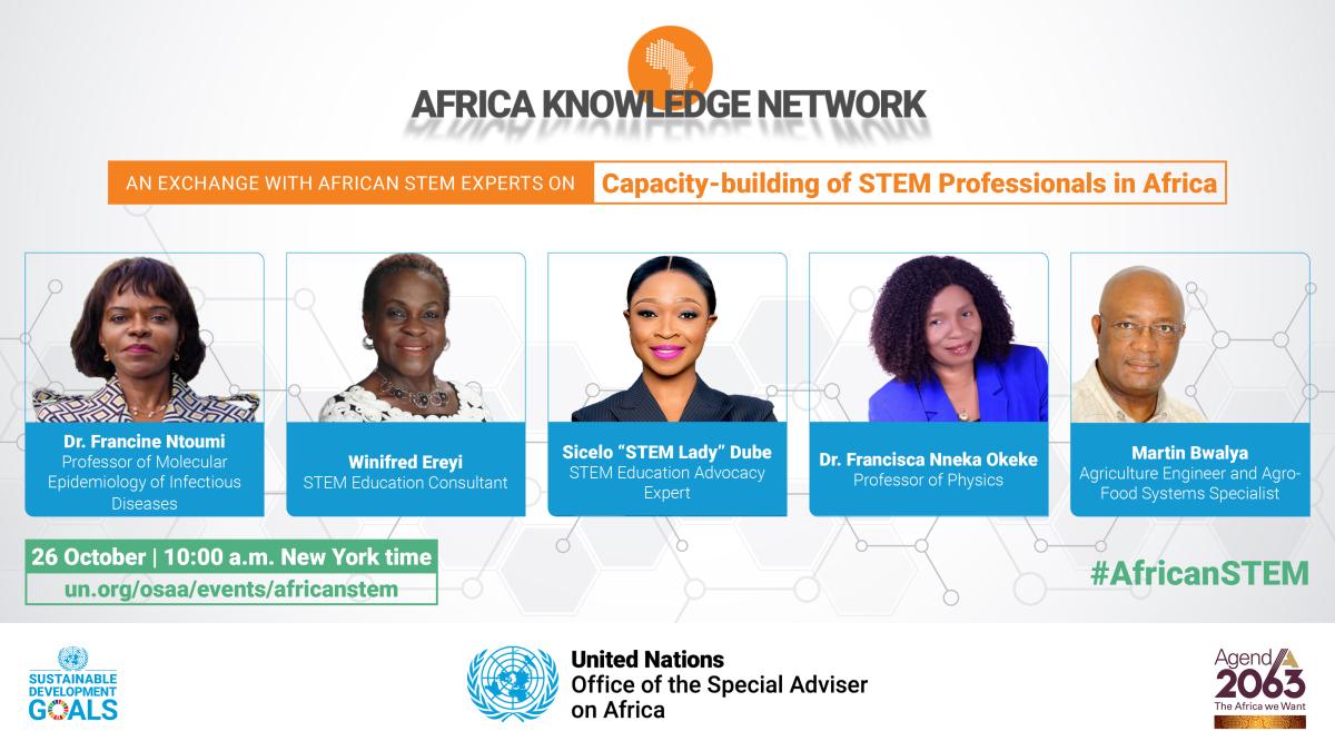 Poster for the Conversation with African Experts on Capacity-building of STEM Professionals in Africa